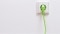Green electricity: Green plug and cable